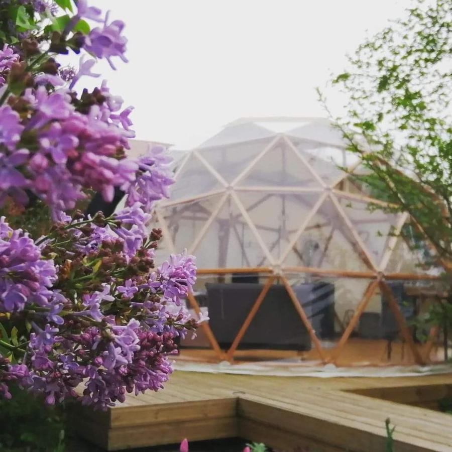 Le Dome Aux Oiseaux Hotel Berig-Vintrange Ngoại thất bức ảnh